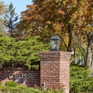 London™ Exterior 14" Wide Pier Light