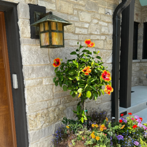 Pine Lake EX-4412-A10 brass outdoor wall lantern mounted on a stone exterior