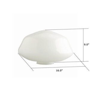 Opal Gloss Schoolhouse Globe